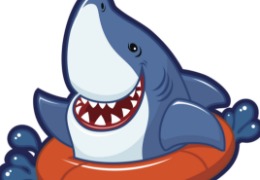 食品原料小百科：硫酸軟骨素可以用在什么地方？